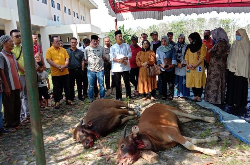  Lebaran Ke Dua, Pimpinan dan Anggota DPRD Banyuasin Potong Dua Ekor Sapi Qurban