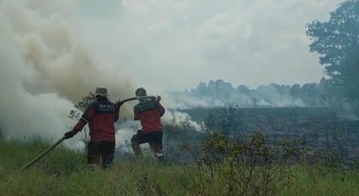  Karhutla di Ogan Ilir Terus Terjadi