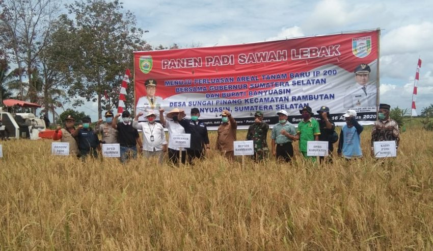  Gubernur Sumsel Panen Padi di Sawah Lebak