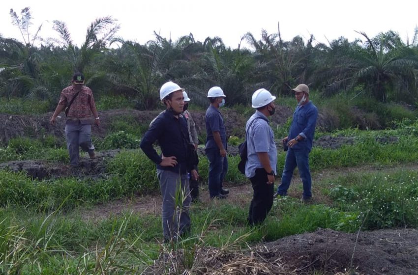  Diduga Pabrik Kelapa Sawit Cemari Lingkungan,Tim DLH ambil sampel air
