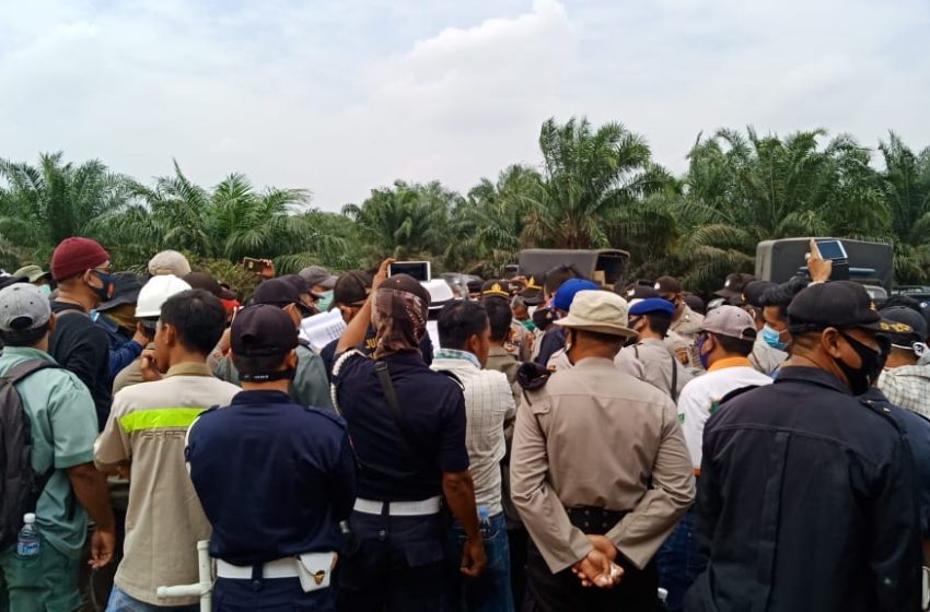  Polsek Tanjung Lago Eksekusi Lahan Kebun Sawit