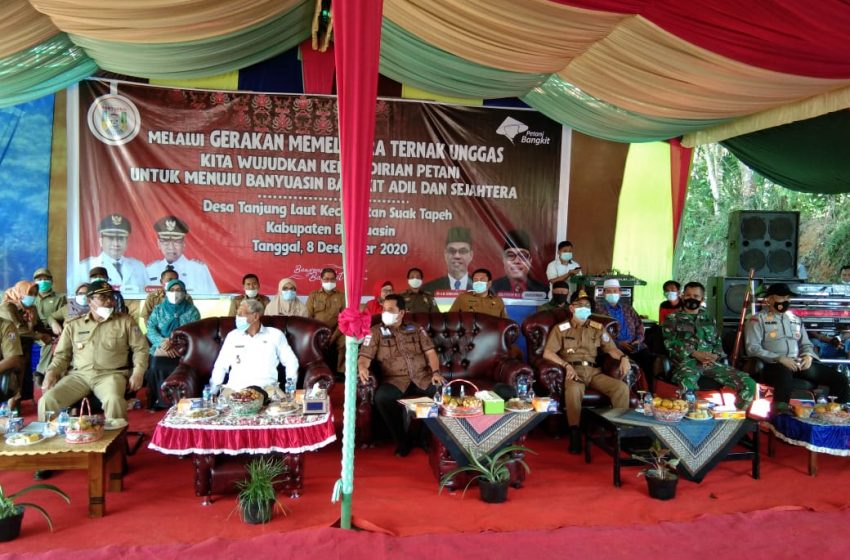  Bupati Banyuasin Launching Kampung Unggas Desa Tanjung Laut