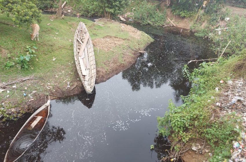  Diduga Tercemar Limbah, Aliran Sungai di Desa Suka Merindu Muara Enim Menghitam