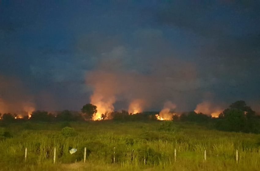  Dua Hektar Lahan di Tepian Tol Palindra Terbakar