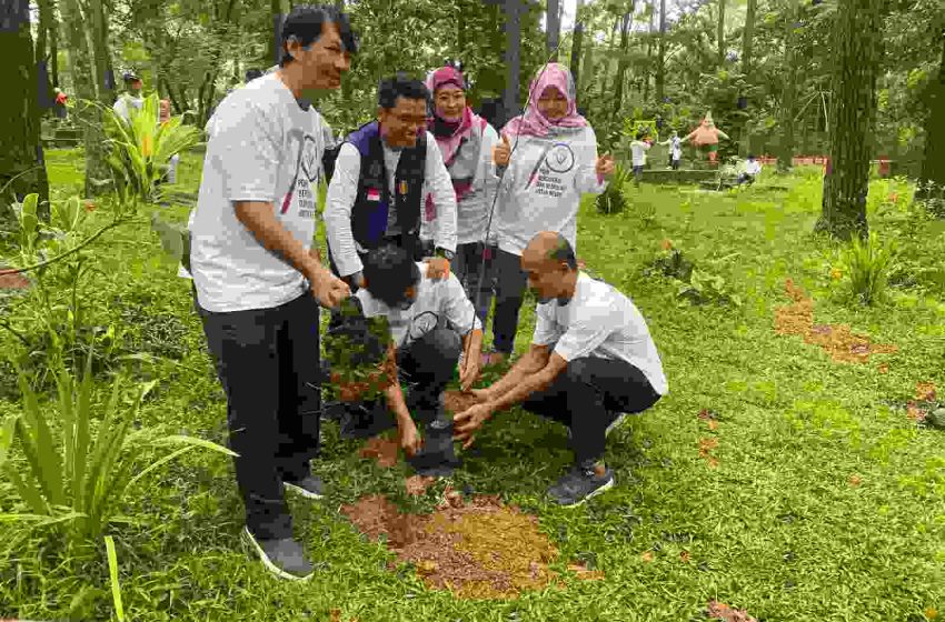  PDHI Sumsel Tanam Puluhan Batang Pohon Salam di Hutan Wisata Punti Kayu