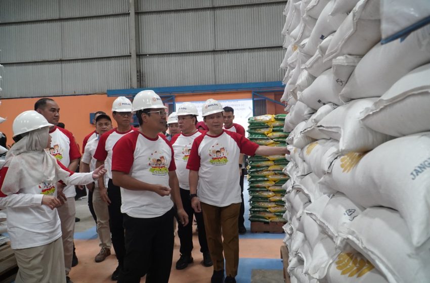 Pj Gubernur Sumsel Dampingi Kepala Bapanas RI Tinjau Gudang Bulog dan Penggilingan Padi